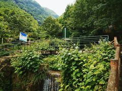 -藏龙百瀑风景区