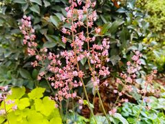 -衡山路(地铁站)