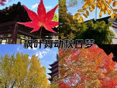 -常熟方塔园