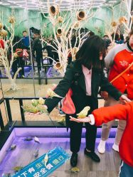 -未来动物城主题公园(正弘城店)
