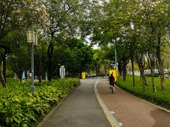 -顺峰山公园
