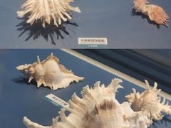 -浙江自然博物院(杭州馆)