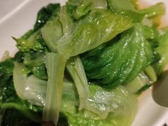 -三猫黑鱼花(南大店)