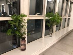 -净漪造型 PURE RIPPLE