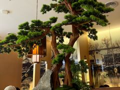 -米桃-吴韵风雅·拙园(北外滩来福士店)