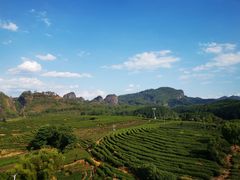 -九曲溪竹筏码头