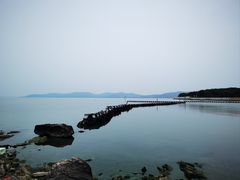 -上海市保健医疗中心