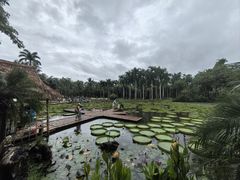 -中国科学院西双版纳热带植物园