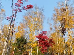 -长春市南湖公园