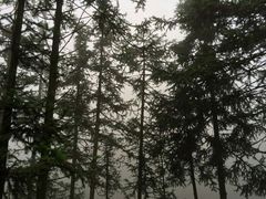 android_upload_pic-摩围山景区