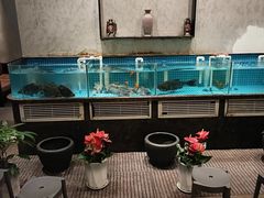 -汉水谣·江景餐厅(江滩店)