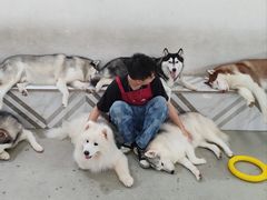 -星多哈·狗咖·拼豆·咖啡