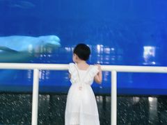 -泉城欧乐堡海洋极地世界