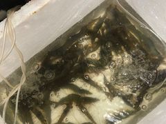 -阿杰臻选海鲜饭店(普陀山店)