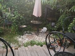 -海边的猫和咖啡馆
