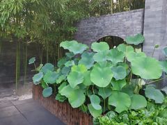 景观位-京兆尹(雍和宫店)