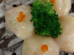 -金龙寨(龙城路店)