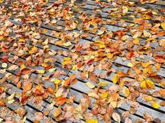 -青峰峡国家森林公园