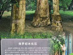 -国家植物园南园