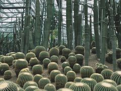 -南山植物园