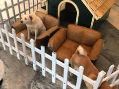 -上海崇明金茂凯悦酒店