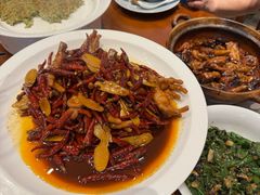-杨厨的田园饭店(长城路店)