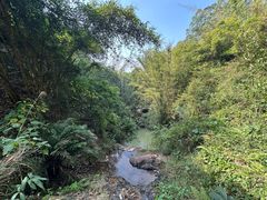-大雁山风景区