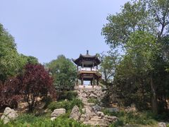 -莲花池公园