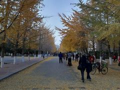 android_upload_pic-辽宁大学(崇山校区)