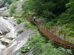 -青峰峡国家森林公园