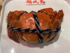-杨氏青龙虾·羊蝎子(珠江路店)