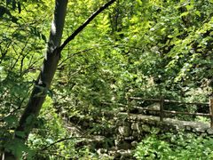 -青峰峡国家森林公园