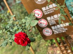 景点-丰都鬼城名山景区
