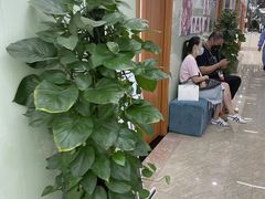 -茂菊口腔连锁(浦东南路店)