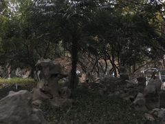 -赭山公园