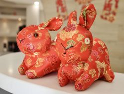 -酉嘉瑜伽YO+YOGA