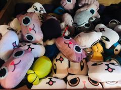 -猫咪博物馆(顶澳仔猫街店)