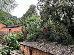 -杨家堂村