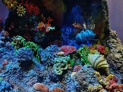 -中国湿地博物馆