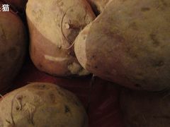 -江杨农产品批发市场