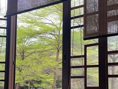 -山水茶艺馆·点心粤菜·30年老字号