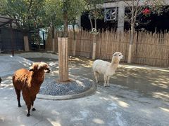 -杭州野生动物世界