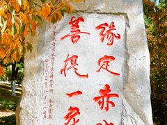 -石岛赤山风景区