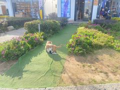 -大理洱海