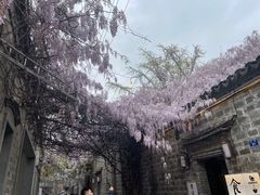 -老门东历史文化街区