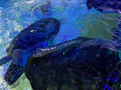 -福州罗源湾海洋世界旅游区