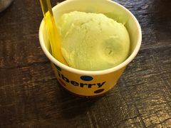 -莓园冰淇淋店
