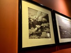 -星巴克(襄阳公园店)