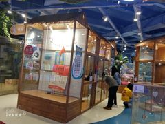 -龟与熊猫宠物公园(南坪店)