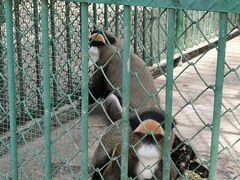 -秦皇岛野生动物园